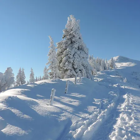 Socher 