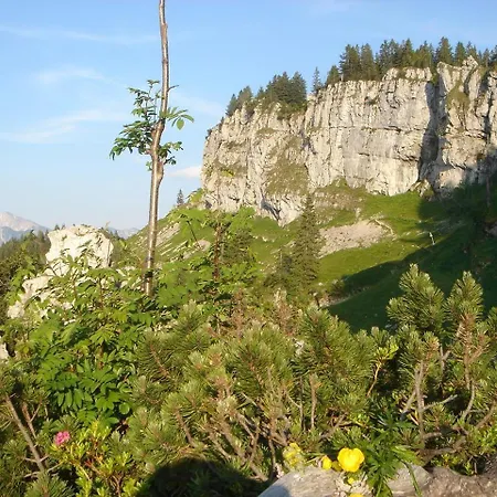 Socher 