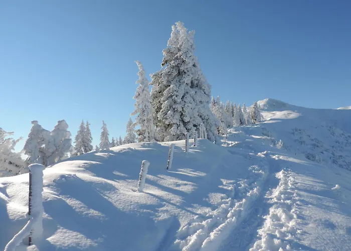 Socher 